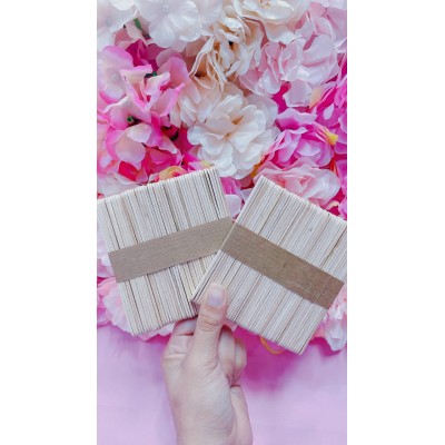 paleta de helados x50