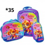 bolso tripack (2578)