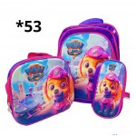 bolso tripack (2578)