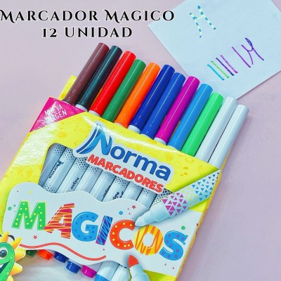 marcador norma de colores 12und#2496