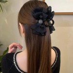 pinza koreano elegante (clip foto entre ver mas modelos)